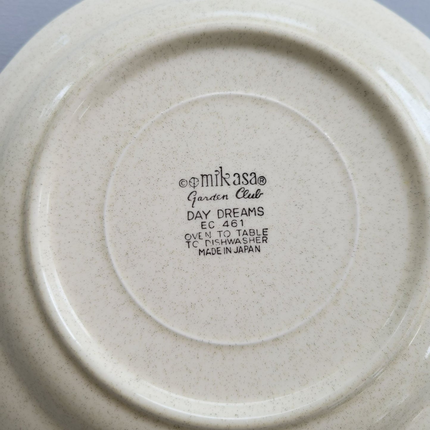 Mikasa Day Dreams Salad Plate, Set of 2, Garden Club Collection