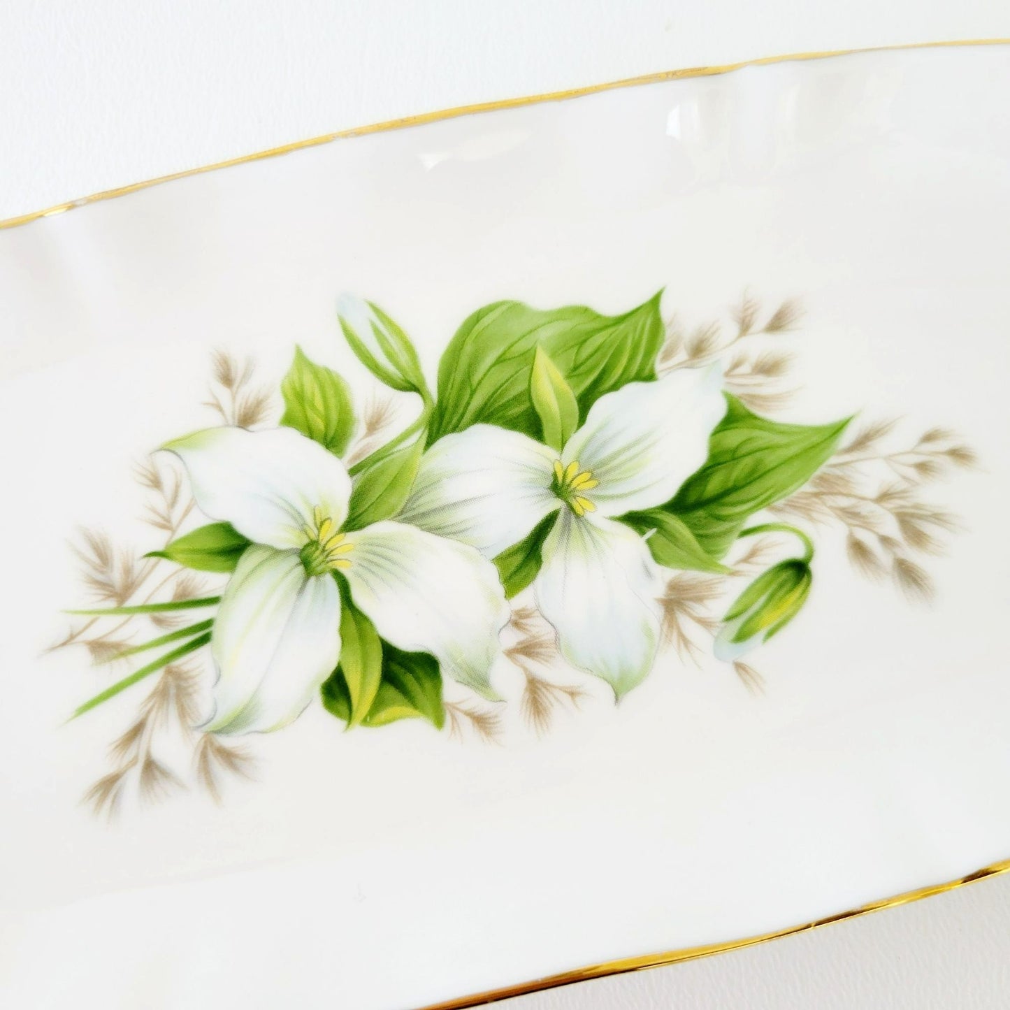 Royal Adderley Trillium Creamer, Sugar Bowl & Tray Petite Set, White and Green Floral, England
