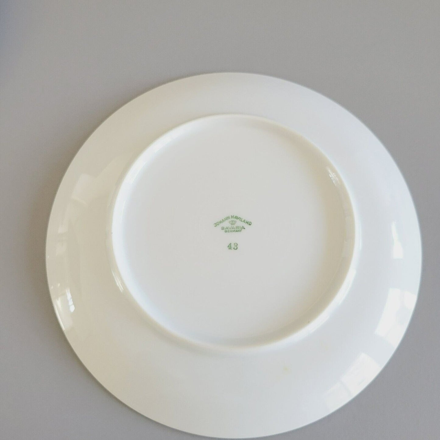 Johann Haviland Wedding Ring Salad Plate, Set of 2, Platinum Trim