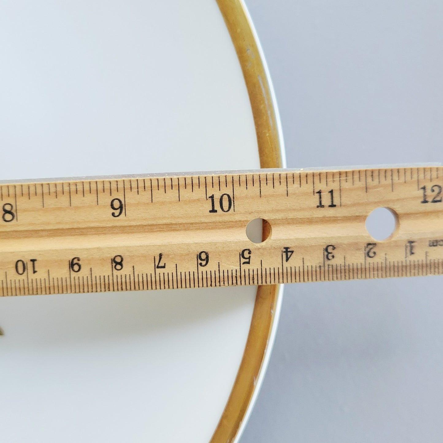 PM Jaeger & Co. Harvest Dinner Plate, Red Apple & Berry, c.1950-60 Bavaria Germany