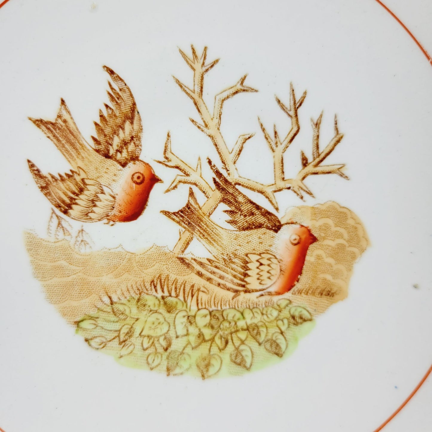 Antique Petrus Regout Demitasse Cup & Saucer Set, Red & Brown Bird Design, Netherlands c. Late 1800s
