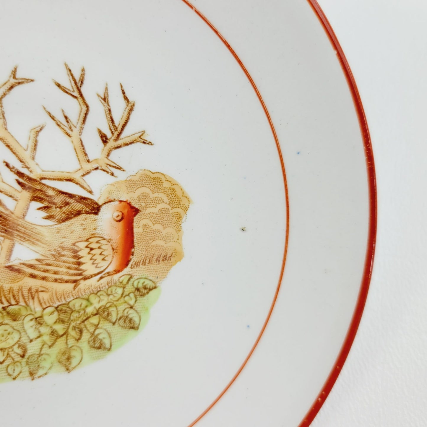 Antique Petrus Regout Demitasse Cup & Saucer Set, Red & Brown Bird Design, Netherlands c. Late 1800s