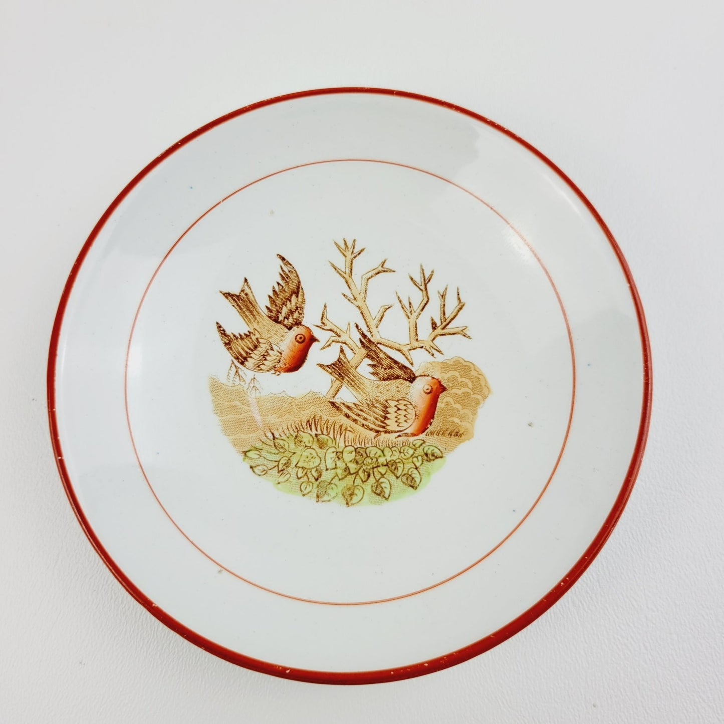 Antique Petrus Regout Demitasse Cup & Saucer Set, Red & Brown Bird Design, Netherlands c. Late 1800s