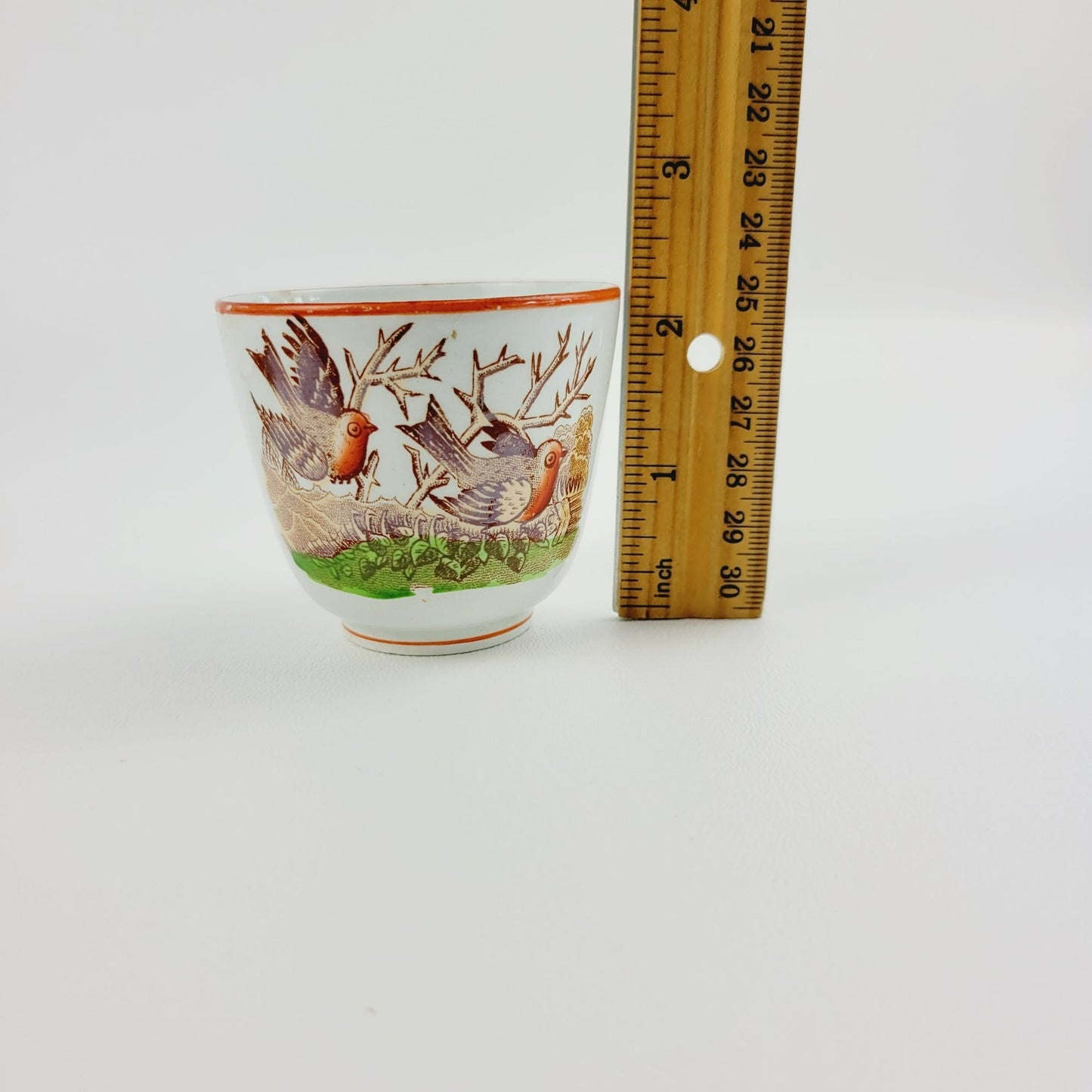 Antique Petrus Regout Demitasse Cup & Saucer Set, Red & Brown Bird Design, Netherlands c. Late 1800s