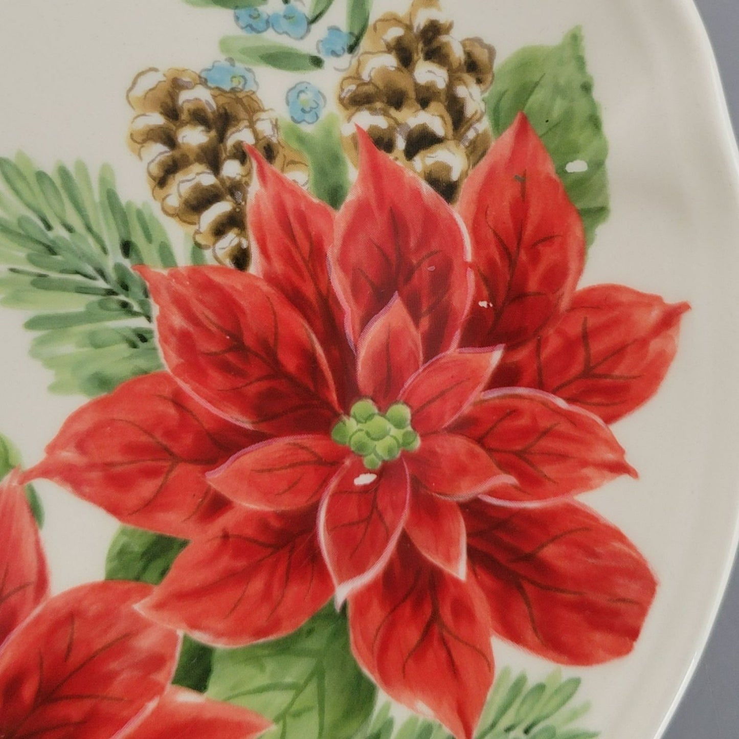 Maxcera Winter Poinsettia Salad Plate, Set of 2