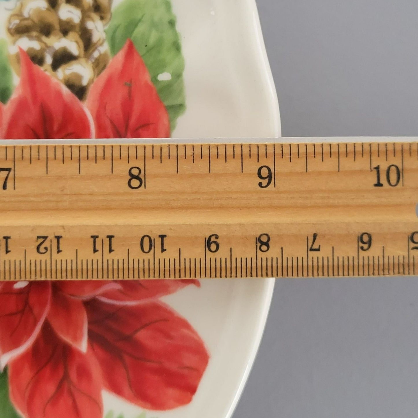 Maxcera Winter Poinsettia Salad Plate, Set of 2