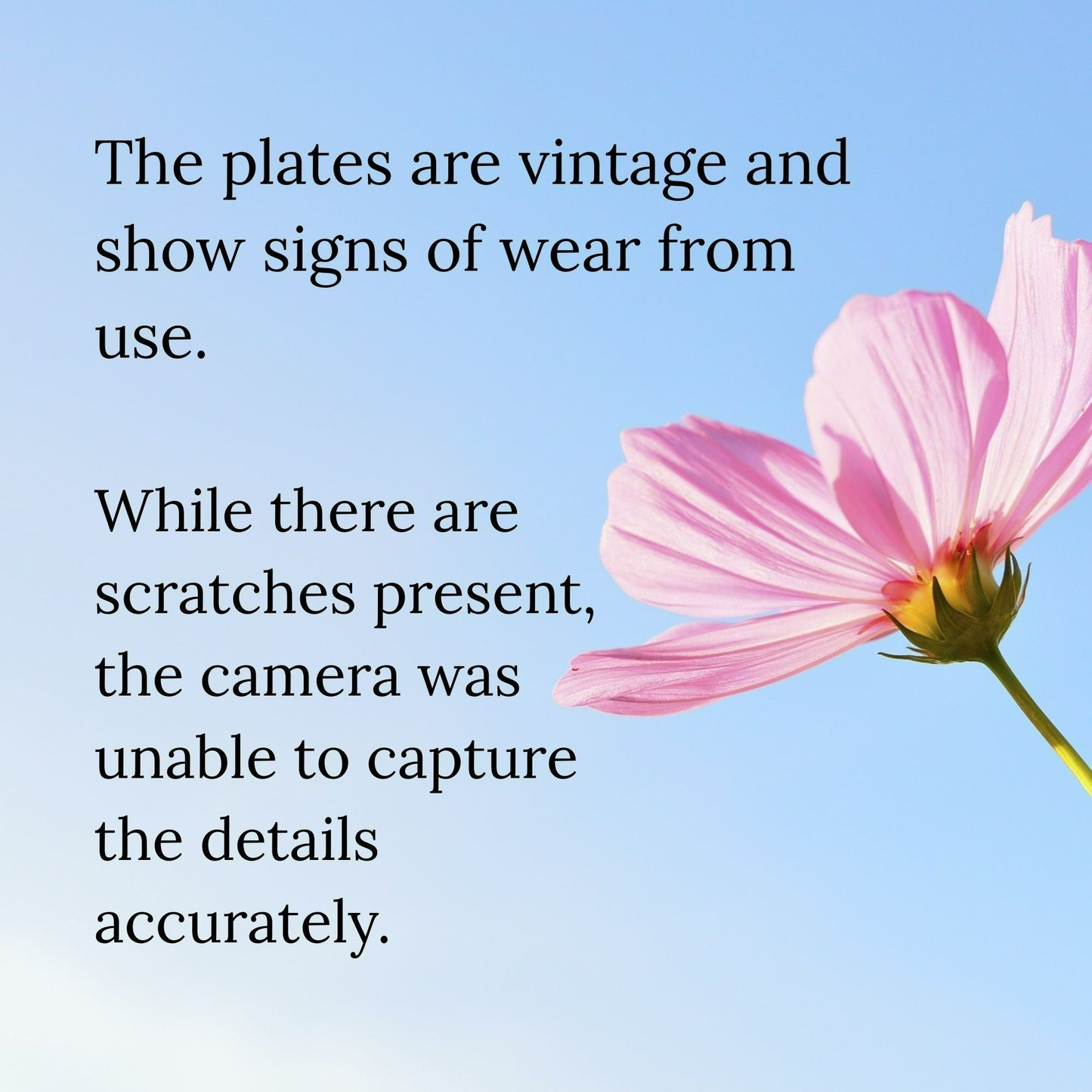 Wedgwood "Empress Ruby" Square Cake Plate, Made in England