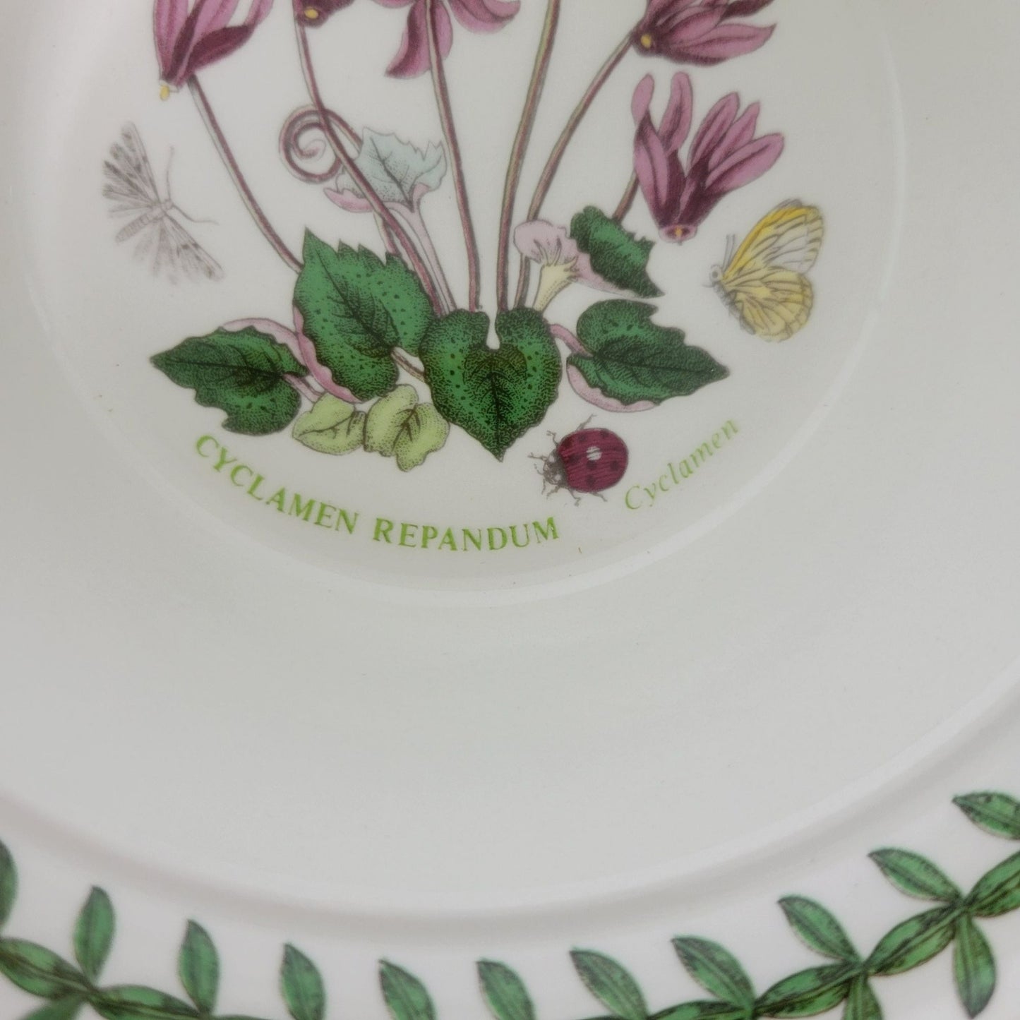Portmeirion Botanic Garden Rim Cereal Bowl, Cyclamen Pattern