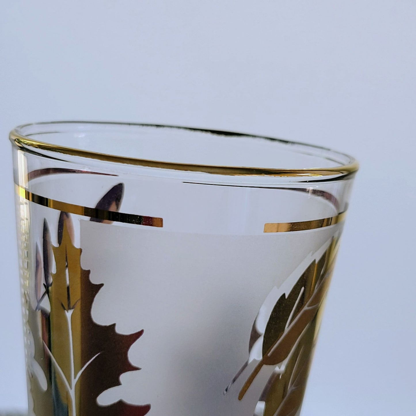 Libbey Golden Foliage Pilsner Beer Glass Set of 2, c.1950s-70s