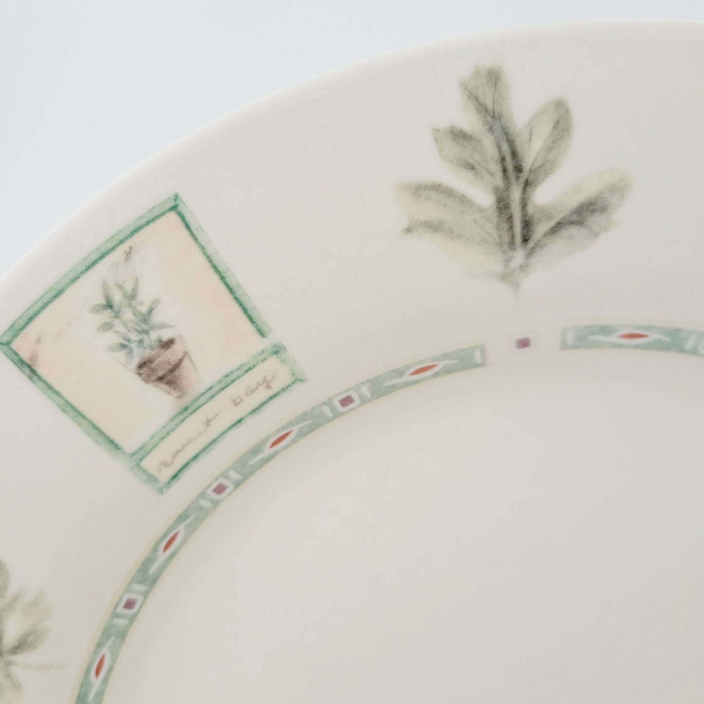 Pfaltzgraff Naturewood Dinner Plate