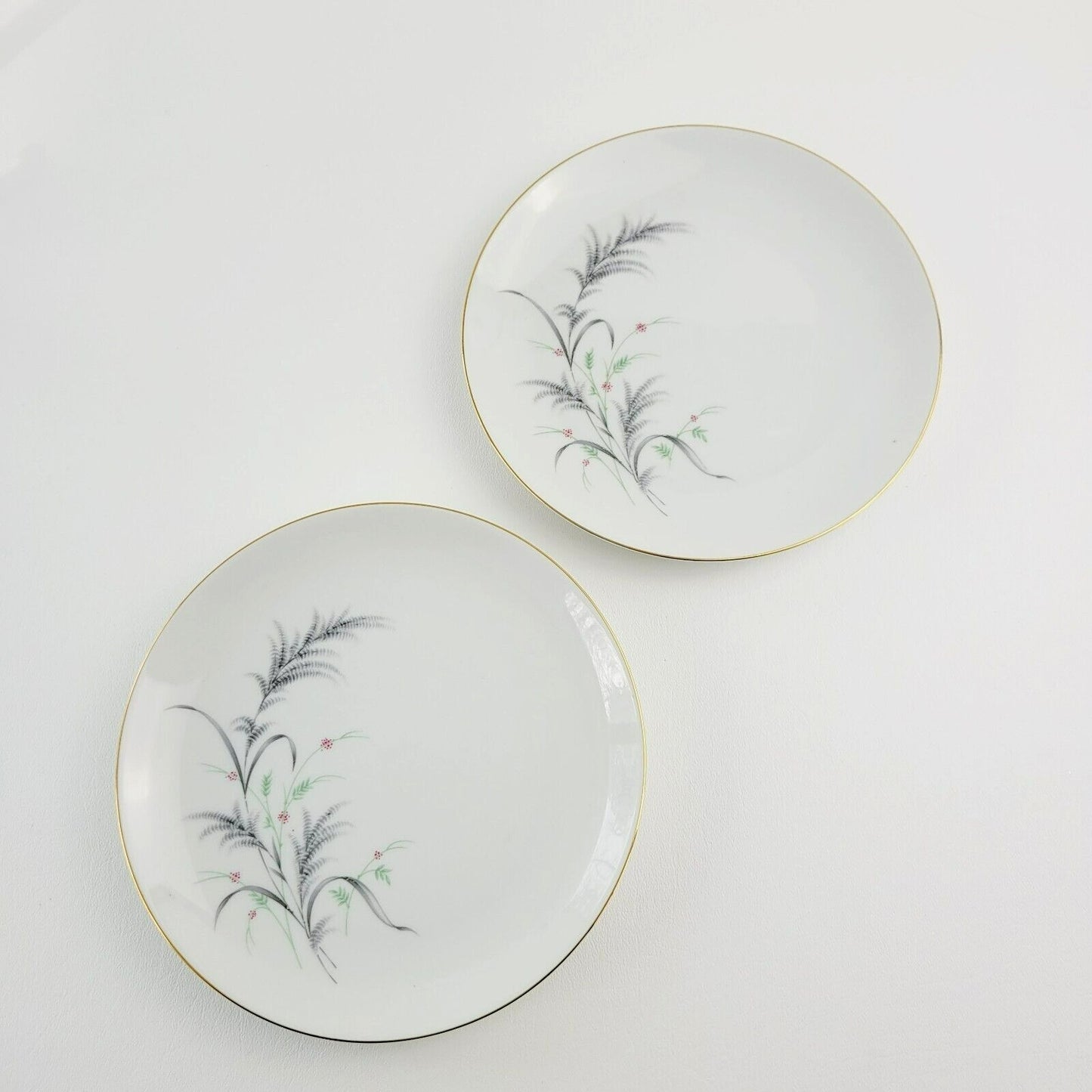 Rosenthal Thomas Wheat Salad Plate, Set of 2