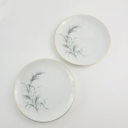 Rosenthal Thomas Wheat Salad Plate, Set of 2