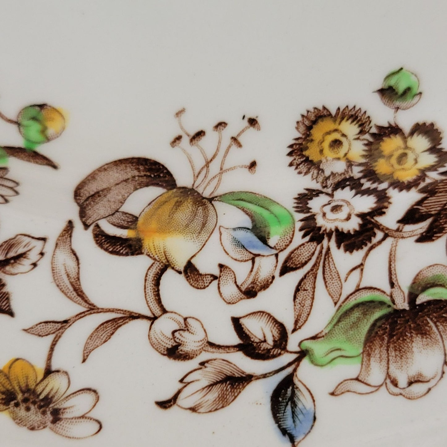 Johnson Brothers WindsorWare Dinner Plate, Margaret Rose Brown, c.1939-65 England