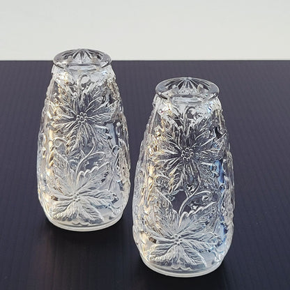 Princess House Fantasia Glass Salt & Pepper Shaker