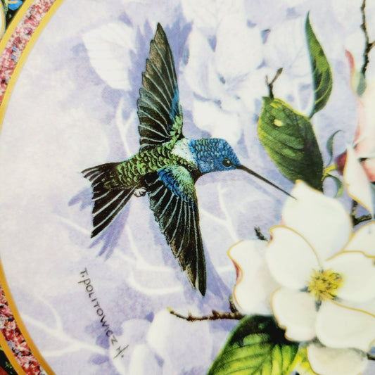 Royal Doulton Hummingbird Plate, White Necked Jacobin Hummingbird, Franklin Mint Heirloom Bird Collectors Plate, Made in England