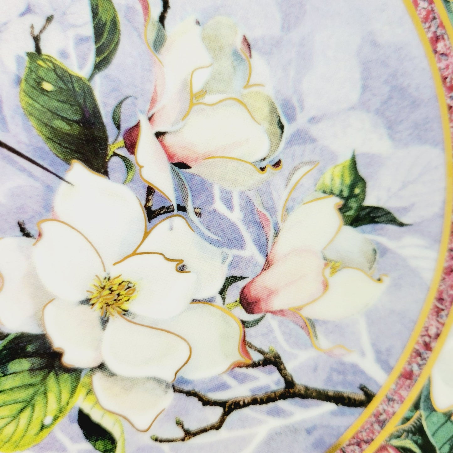 Royal Doulton Hummingbird Plate, White Necked Jacobin Hummingbird, Franklin Mint Heirloom Bird Collectors Plate, Made in England