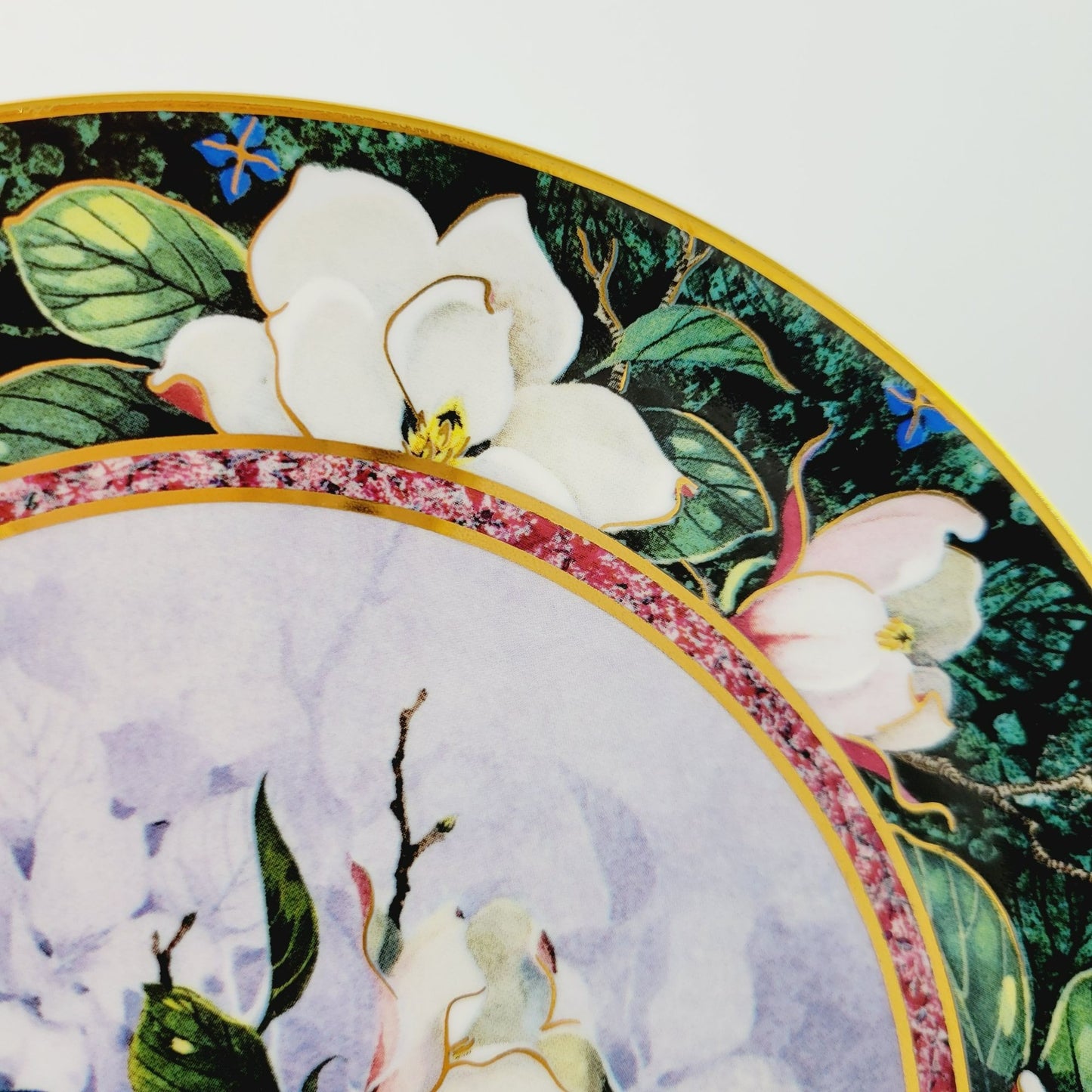 Royal Doulton Hummingbird Plate, White Necked Jacobin Hummingbird, Franklin Mint Heirloom Bird Collectors Plate, Made in England