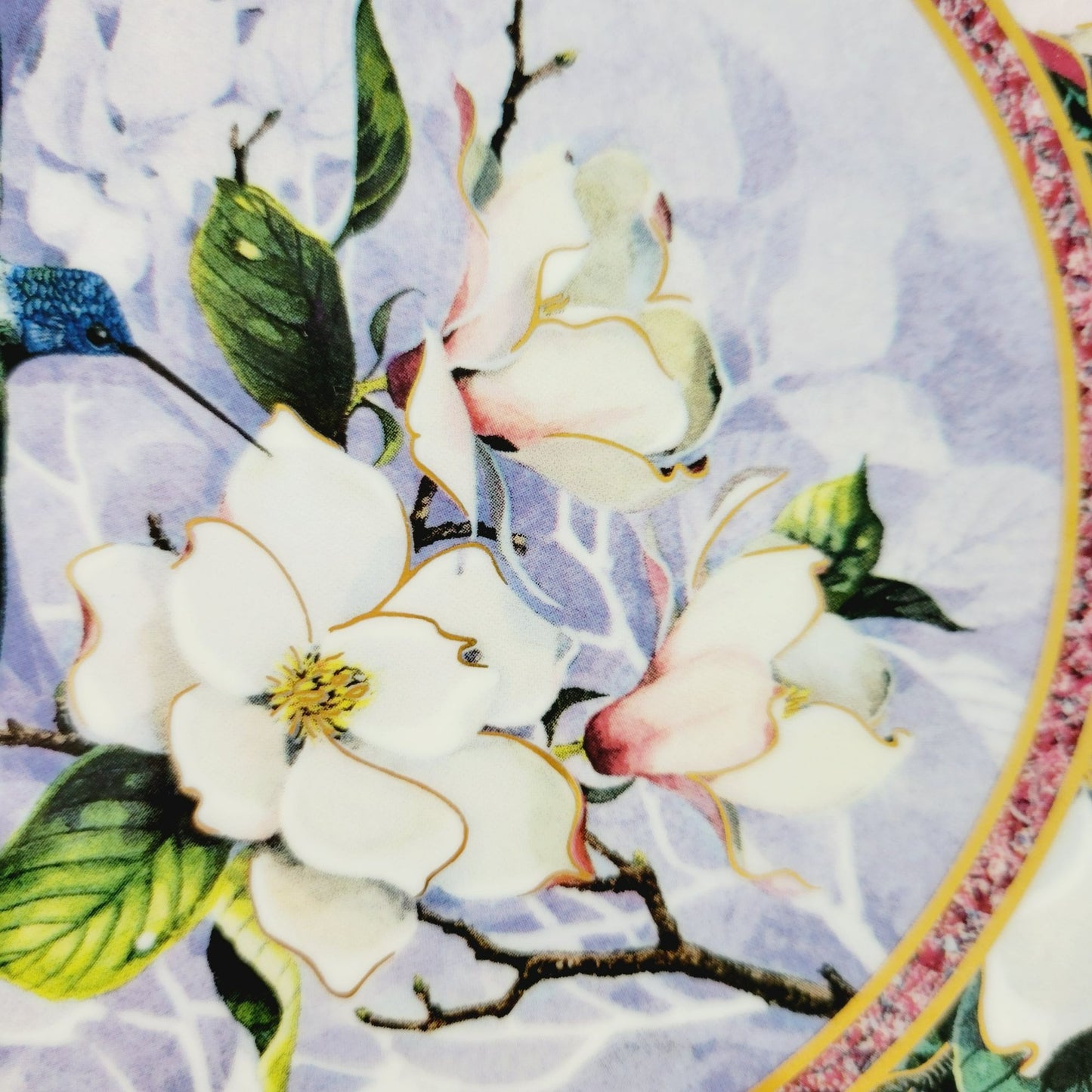 Royal Doulton Hummingbird Plate, White Necked Jacobin Hummingbird, Franklin Mint Heirloom Bird Collectors Plate, Made in England