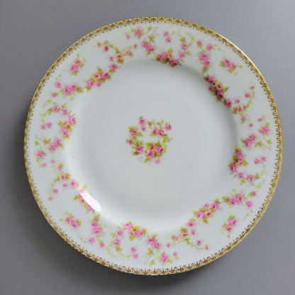 AP Austria Bridal Rose Tapestry Salad Plate, Set of 2