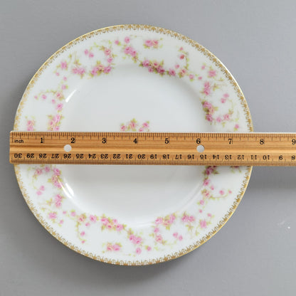 AP Austria Bridal Rose Tapestry Salad Plate, Set of 2