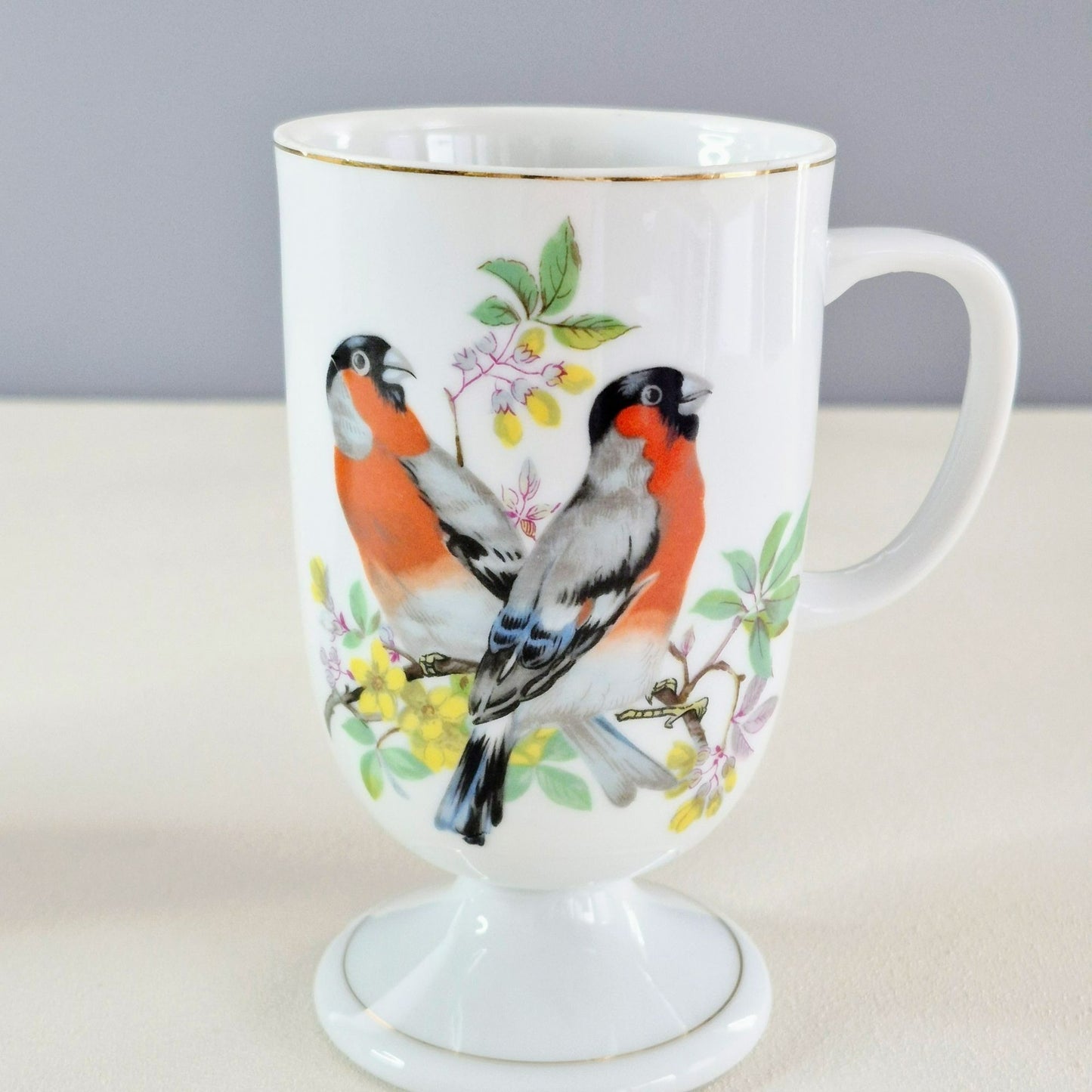 Vintage Bullfinch Bird Pedestal Mug Set of 2