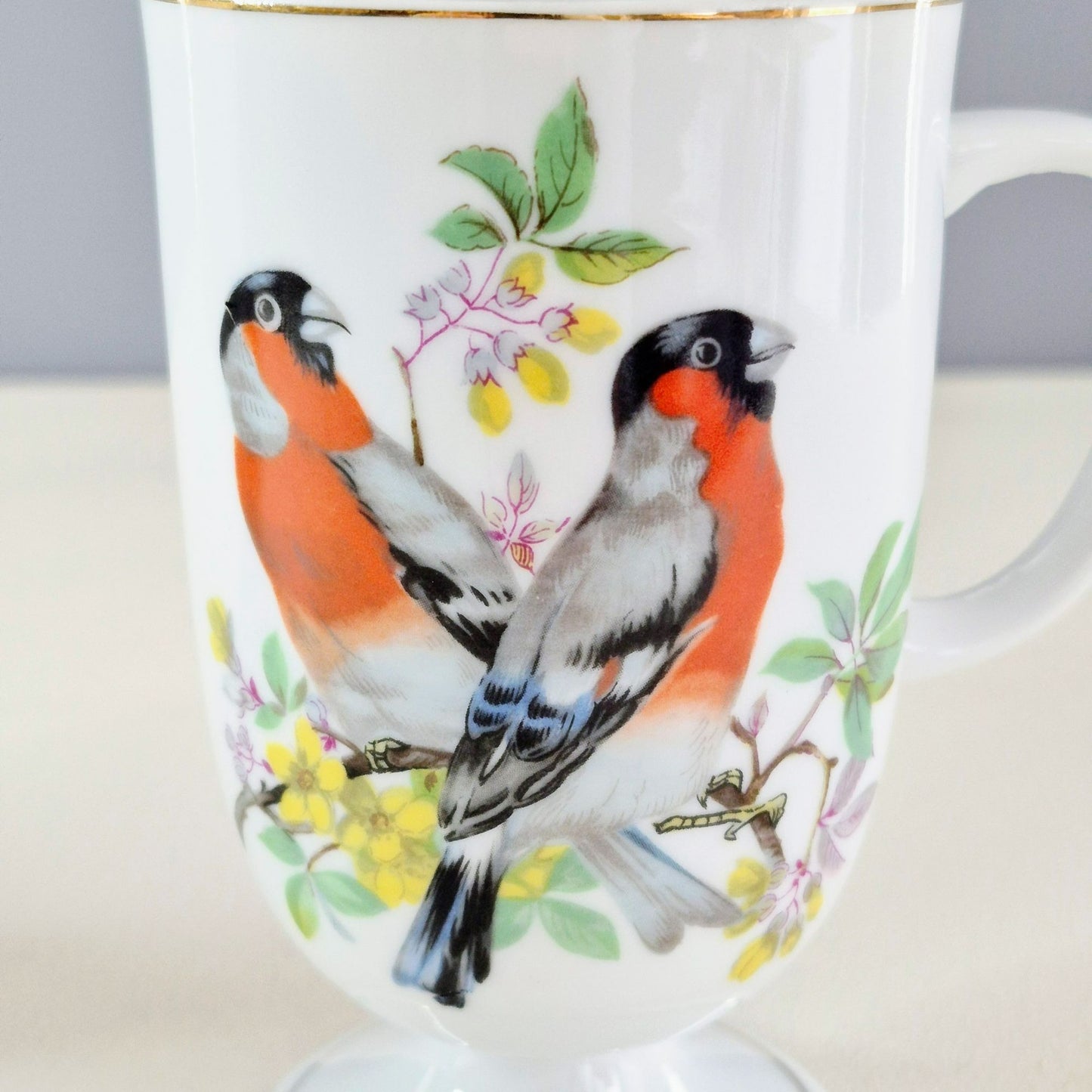 Vintage Bullfinch Bird Pedestal Mug Set of 2