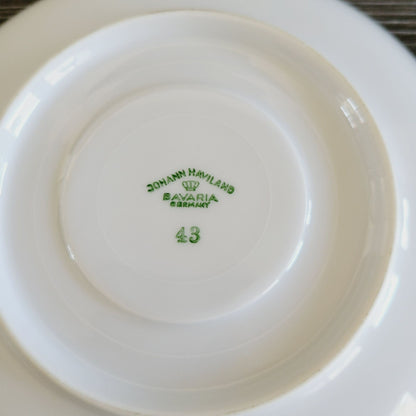 Johann Haviland White Teacup & Saucer Platinum Trim, Wedding Ring Pattern, c.1960s Germany-*-