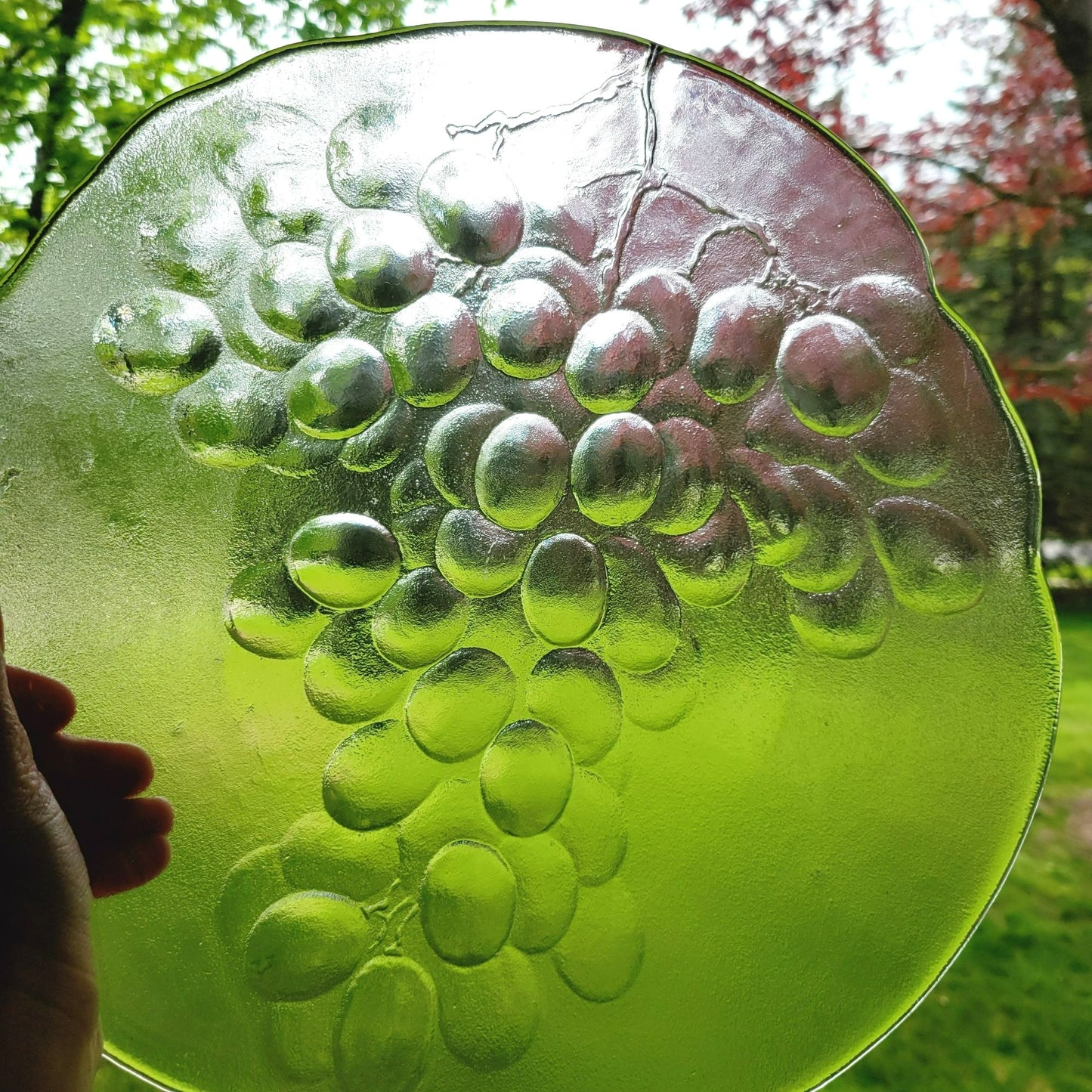 Kosta Boda Grape Shallow 13" Bowl, c.1980s, Made in Sweden