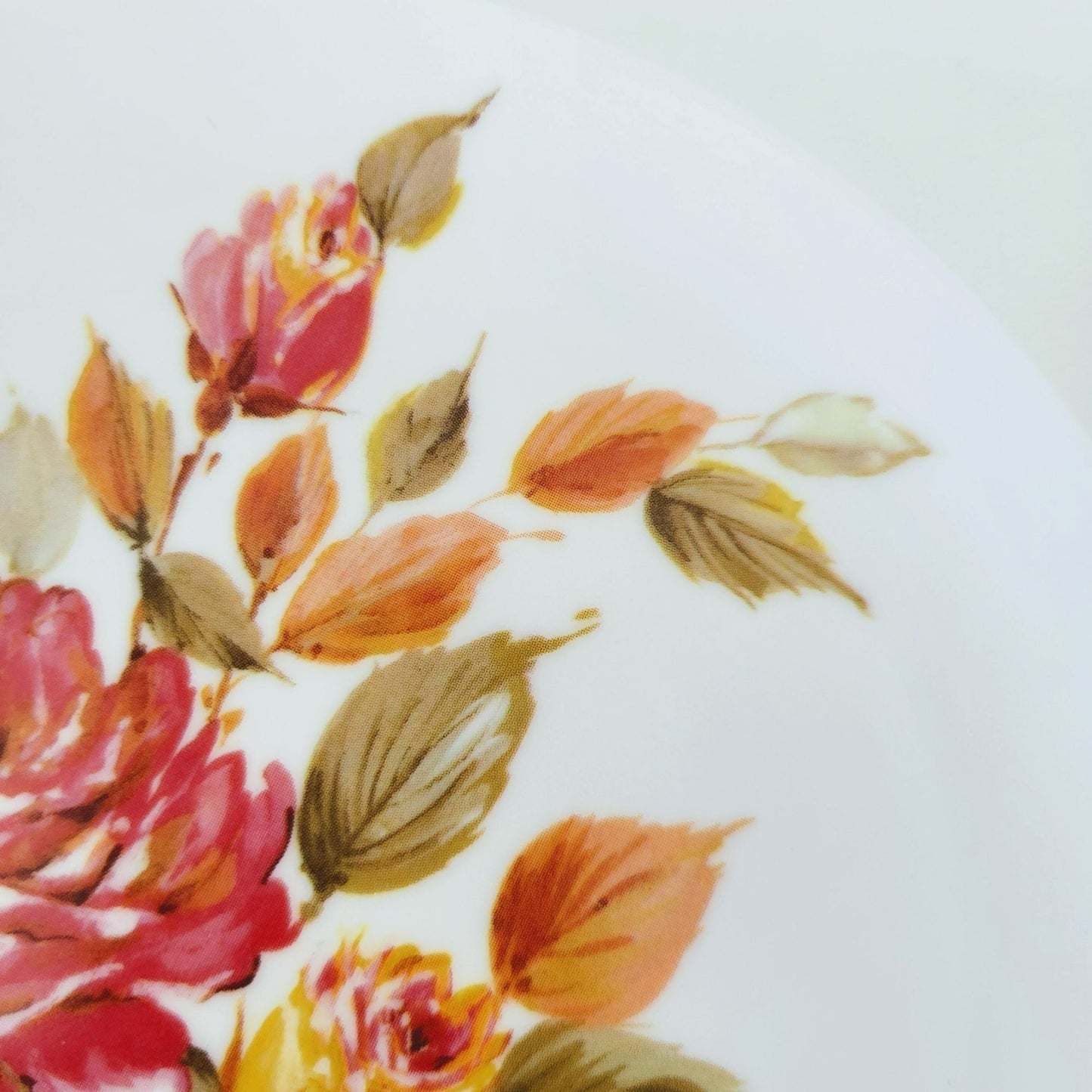 Floral Melamine Plastic Dessert Plate, Set of 2