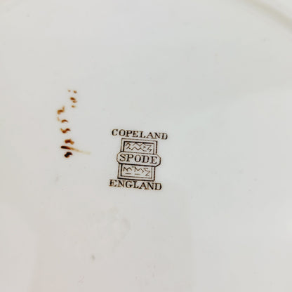 Spode Apple Dinner Plate, c1962-64 England