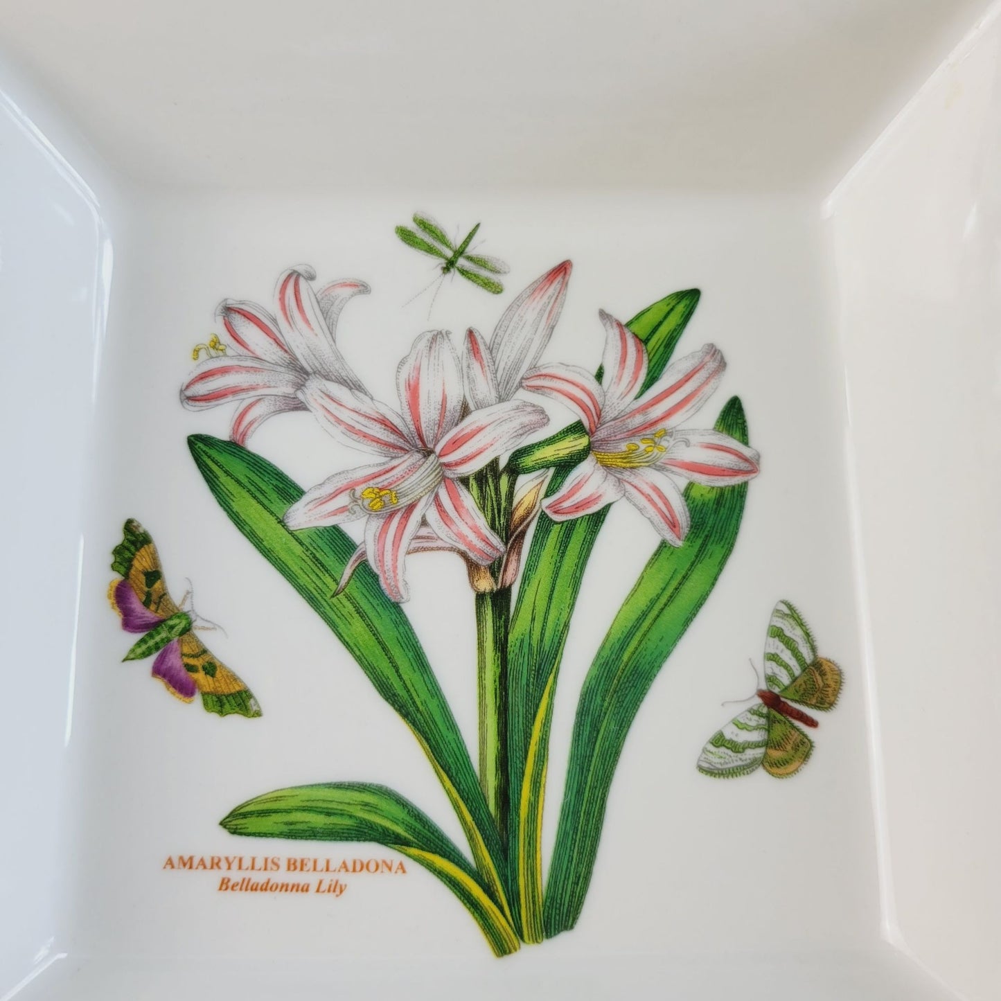 Portmeirion Botanic Garden Belladonna Lily 7" Low Square Bowl