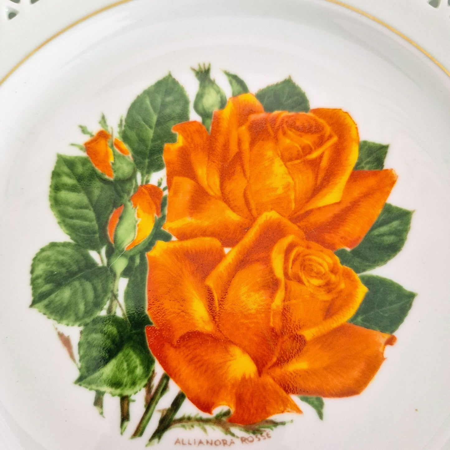 Bing & Grondahl/The Danbury Mint Tropicana Rose Plate, c.1979 Denmark