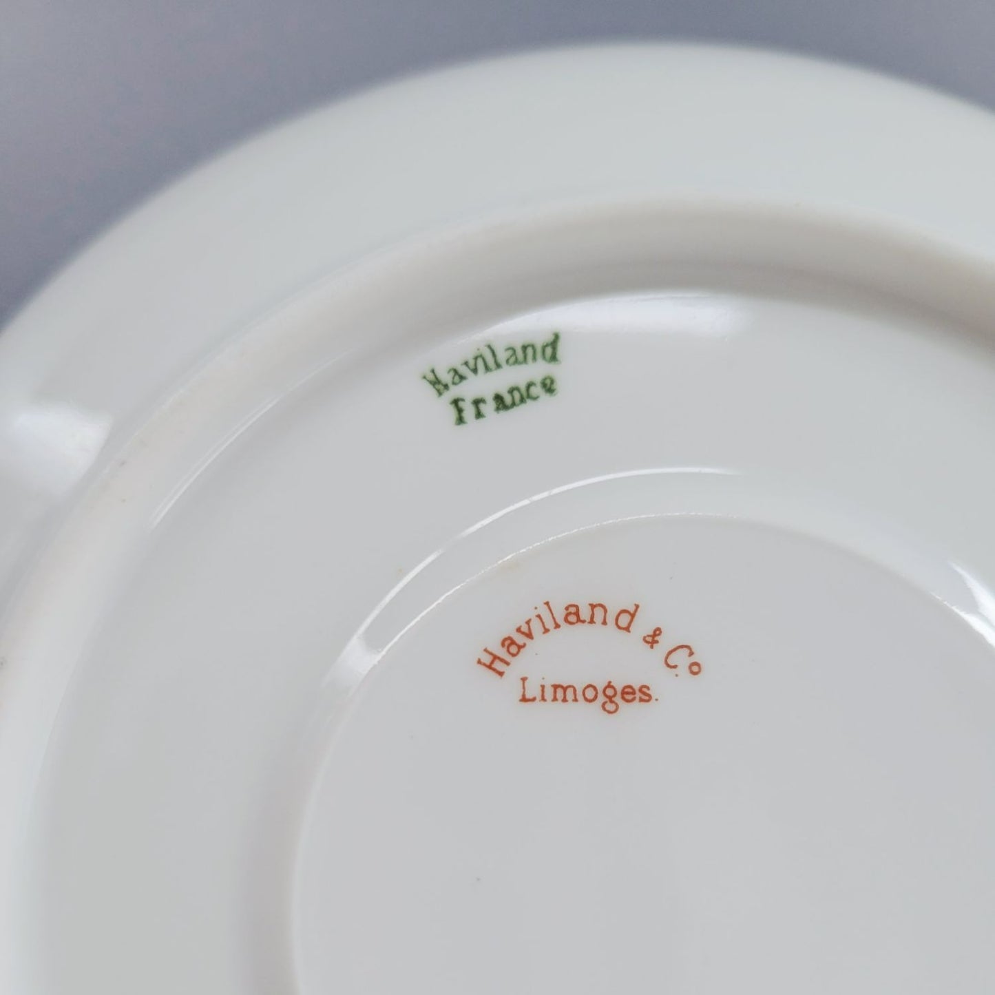 Haviland Teacup and Saucer, Schleiger 570d, c.1926-31 Limoges France