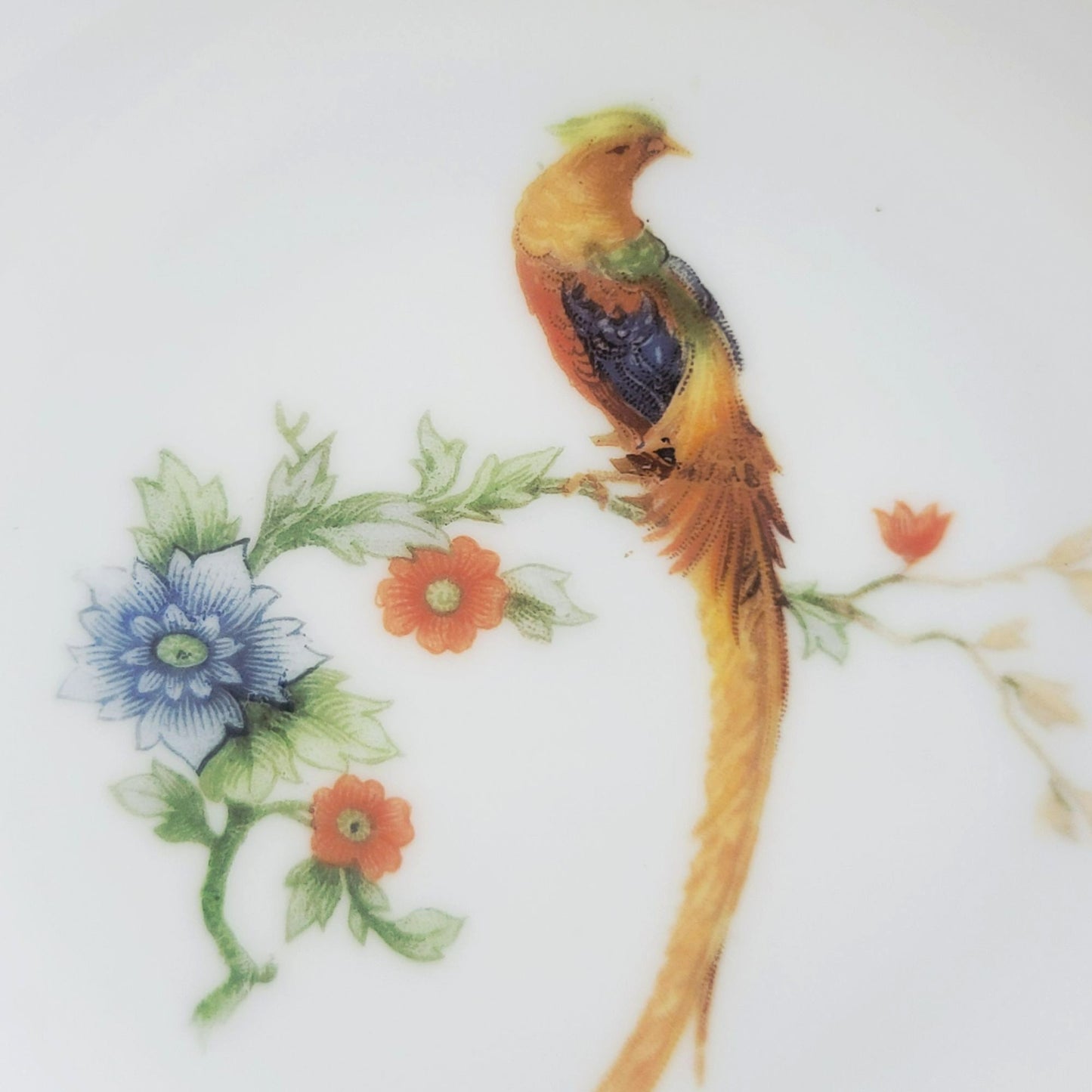 MZ Altrohlau Golden Pheasant Dessert Bowl Set of 2, c.1910s Czechoslovakia
