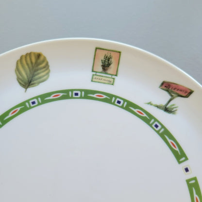 Naturewood Melamine Dinner Plate Set of 2