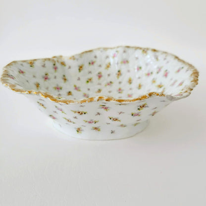 Vienna Porcelain Chintz Floral Leaf Bowl, Made in Austria