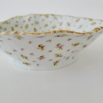 Vienna Porcelain Chintz Floral Leaf Bowl, Made in Austria