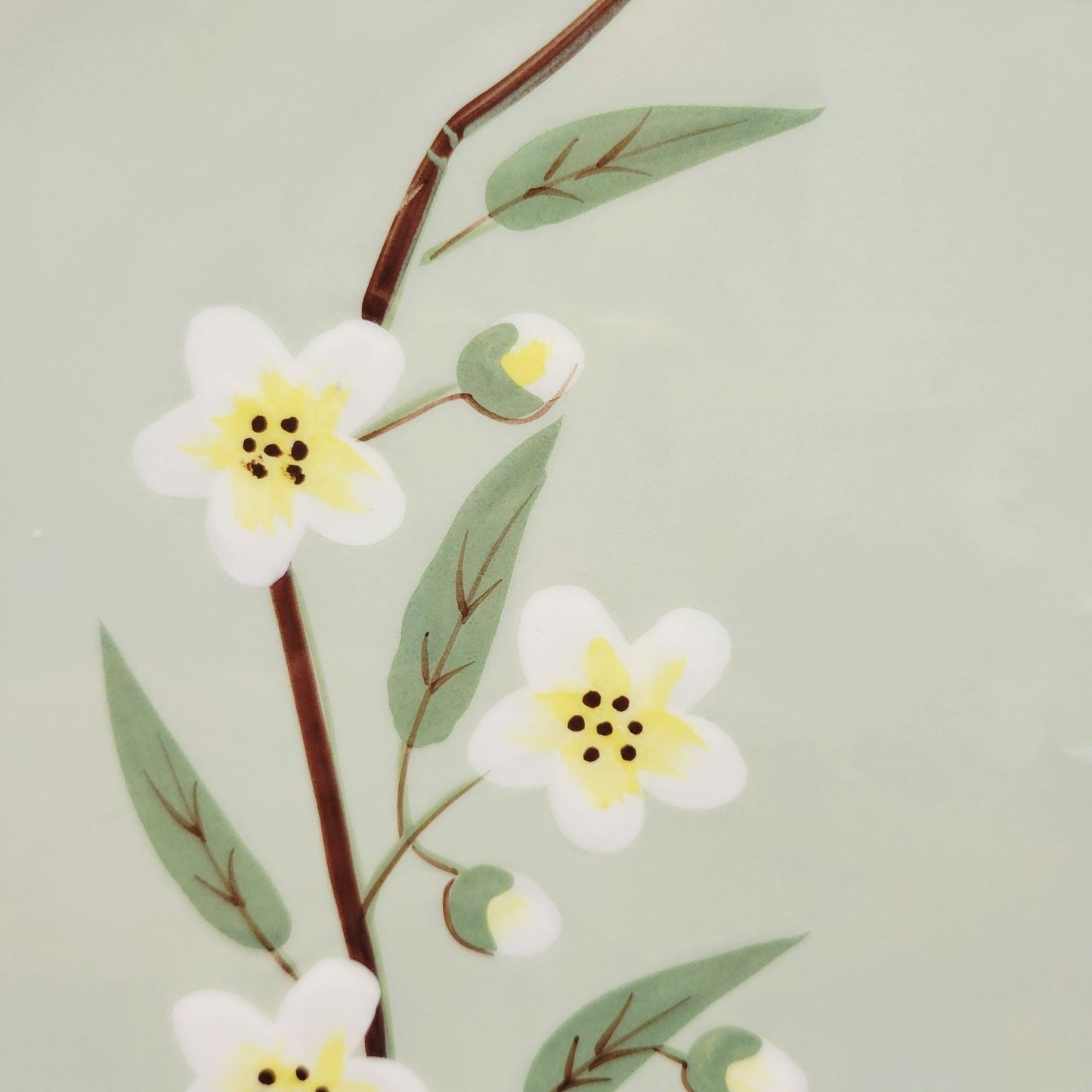 Weil Ware Blossom Celadon Square Dinner Plate, USA Made c.1946-55