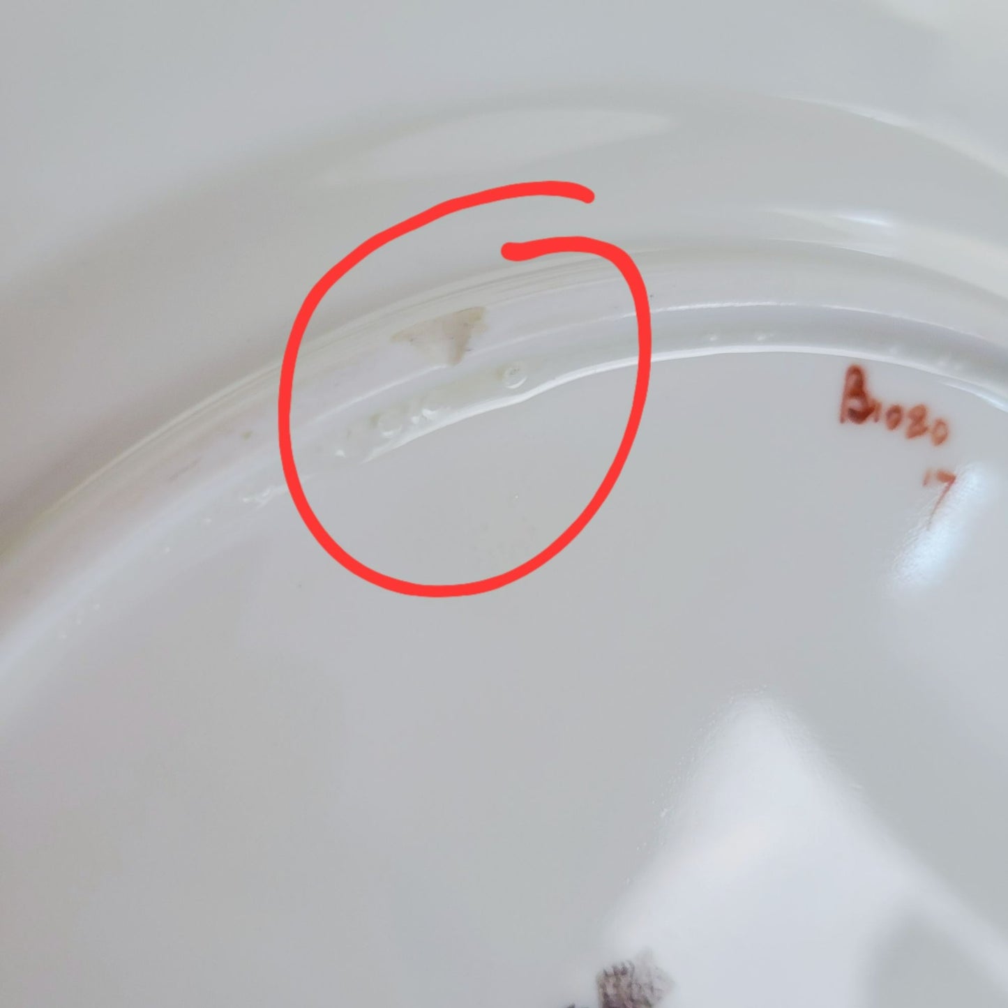 Minton Windermere Dinner Plate,  c.1923-64 England