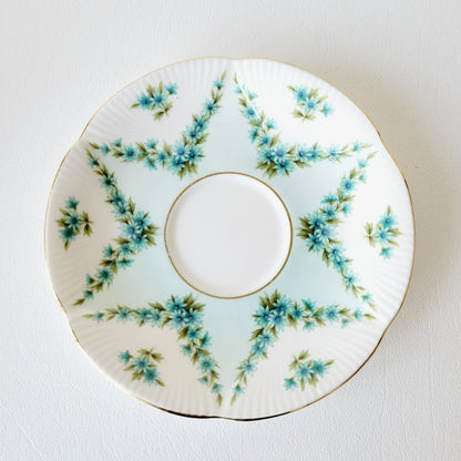 Royal Albert Shot Silk Teacup & Saucer, Blue Green Floral Swag, Embossed & Gold Trim, Made in England