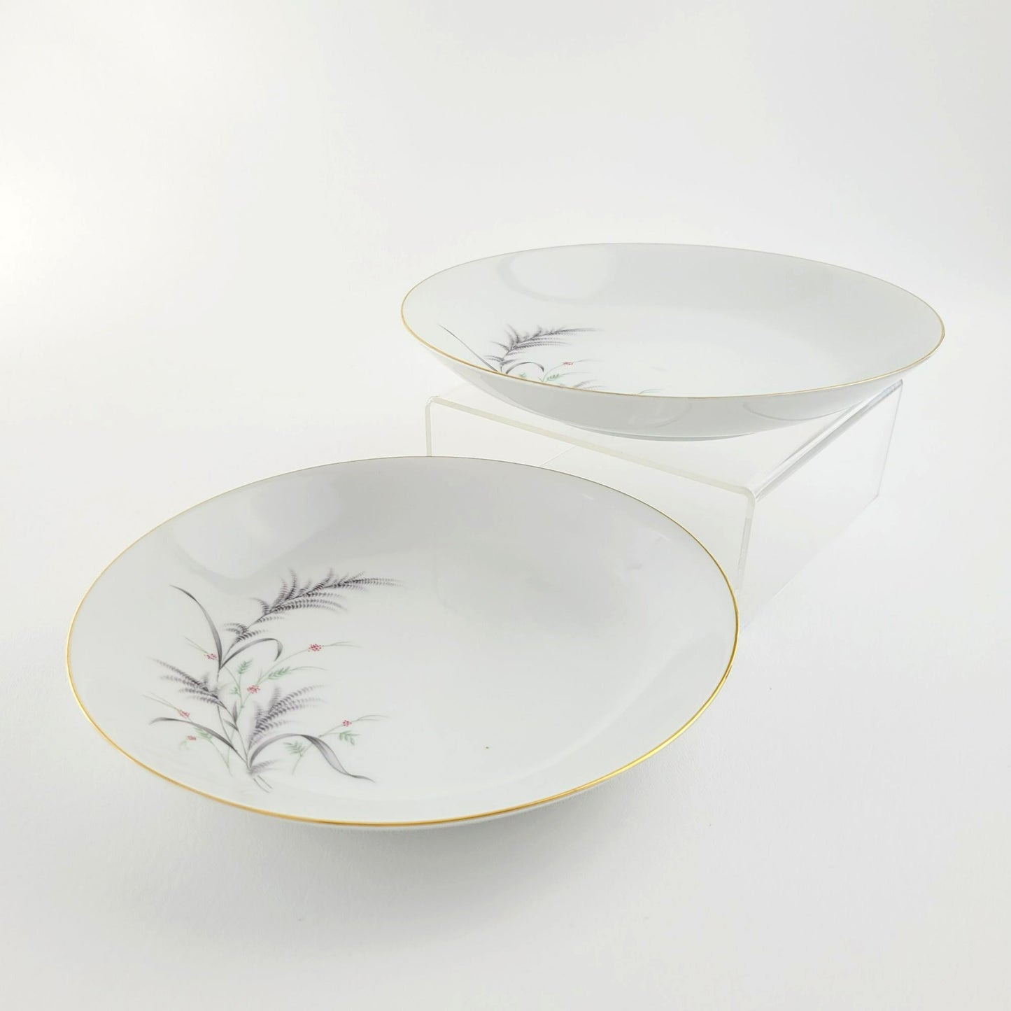 Rosenthal Thomas Low Pasta Bowl Set of 2, Made in Germany