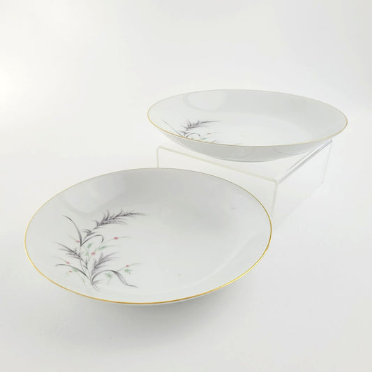 Rosenthal Thomas Low Pasta Bowl Set of 2, Made in Germany