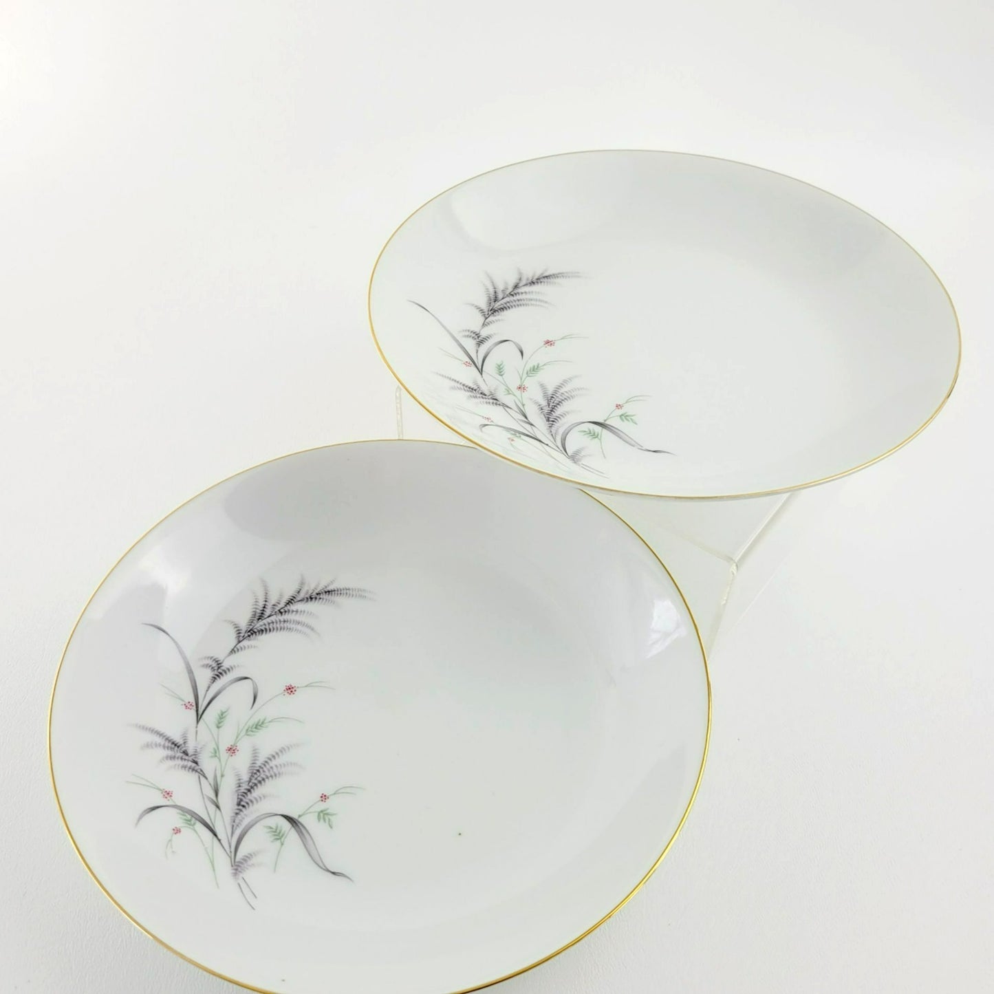 Rosenthal Thomas Low Pasta Bowl Set of 2, Made in Germany
