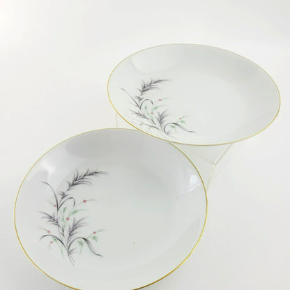 Rosenthal Thomas Low Pasta Bowl Set of 2, Made in Germany
