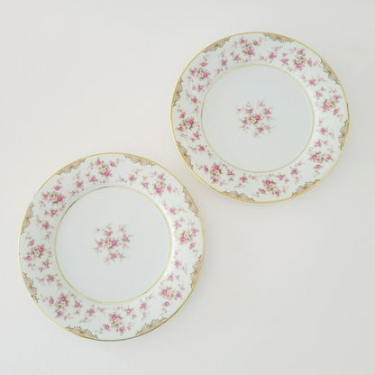 Noritake Charmaine Salad Plate Set of 2, Japan c.1954-62