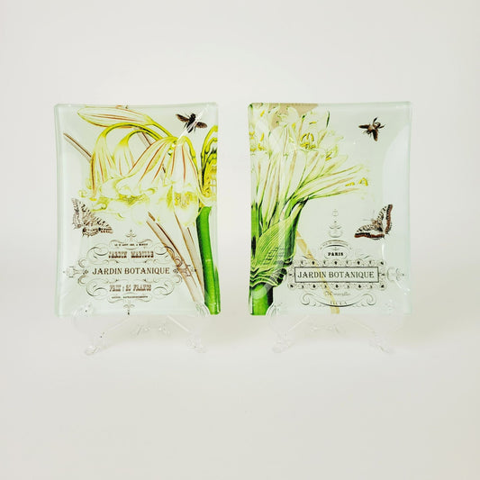 Studio Z Prima Donna Botanical Glass, Plate Set of 2
