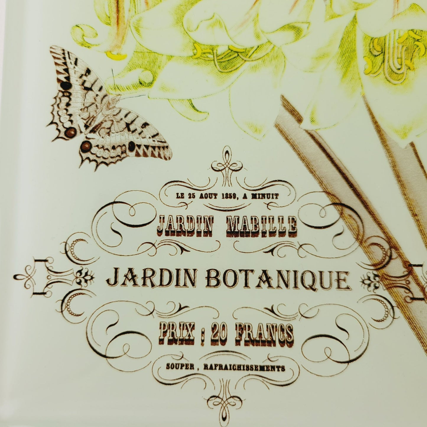 Studio Z Prima Donna Botanical Glass, Plate Set of 2