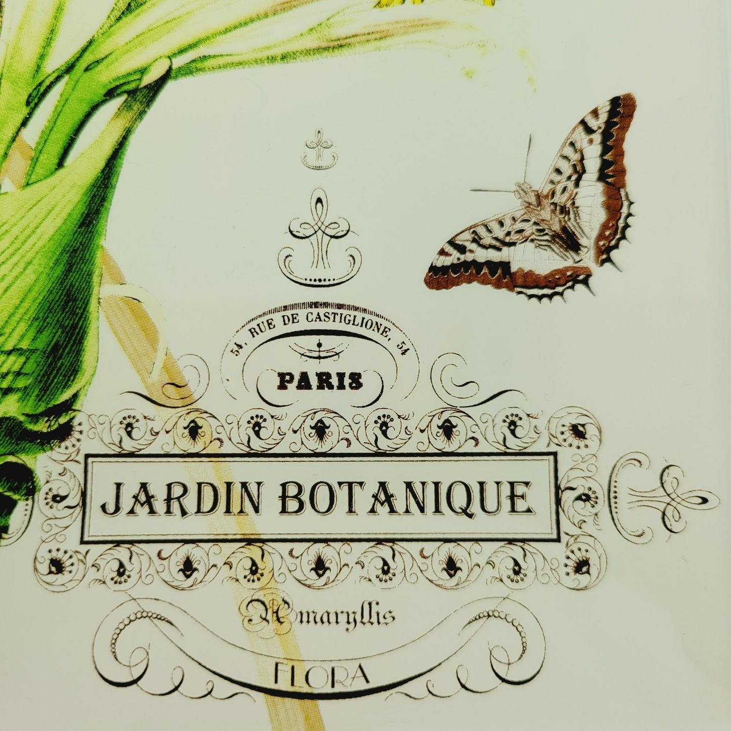 Studio Z Prima Donna Botanical Glass, Plate Set of 2