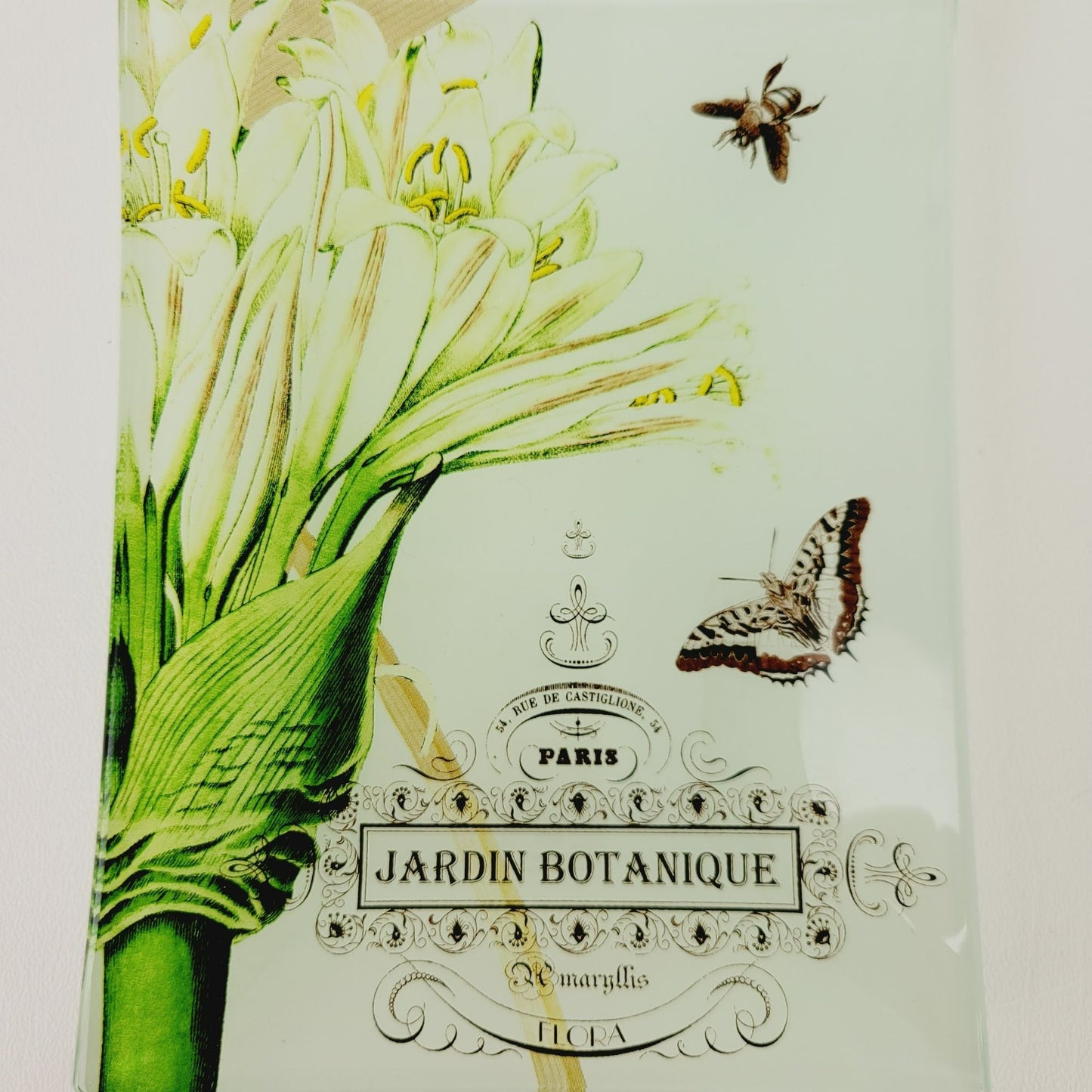 Studio Z Prima Donna Botanical Glass, Plate Set of 2