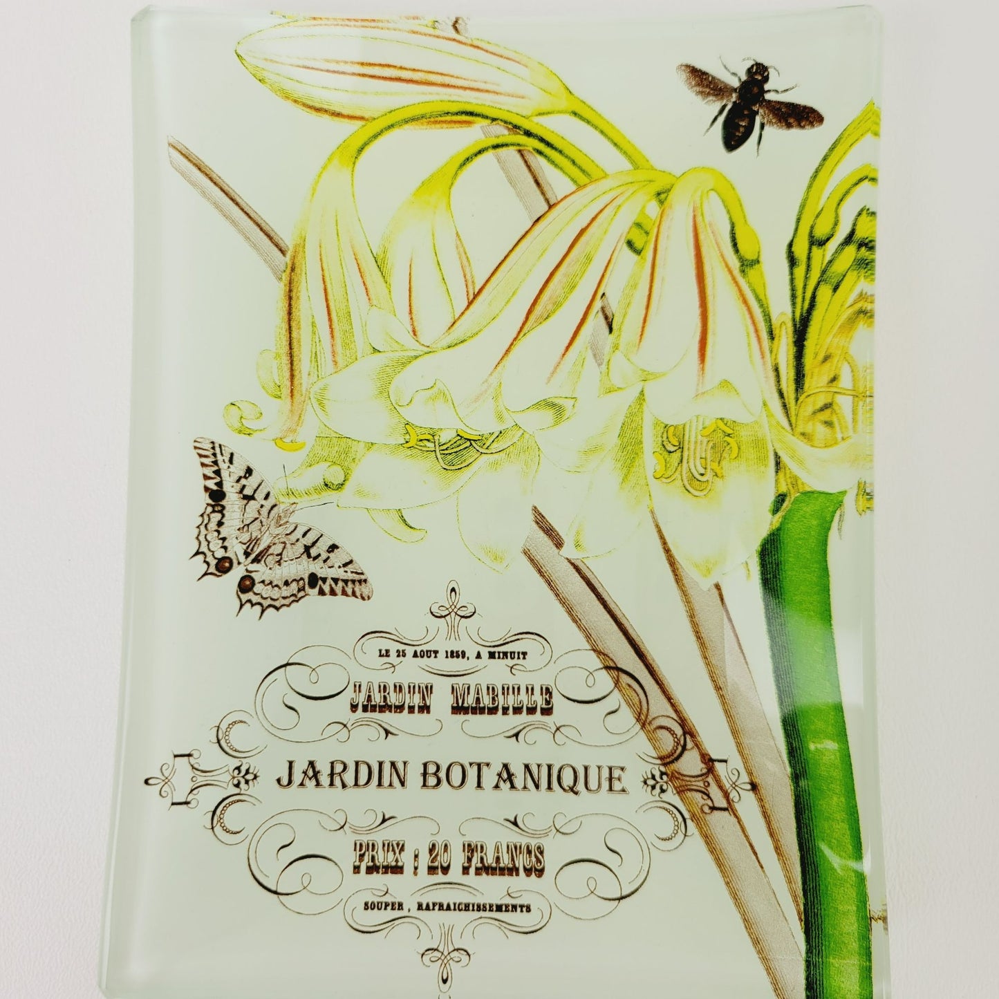 Studio Z Prima Donna Botanical Glass, Plate Set of 2